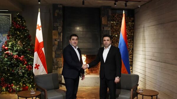 Председатель НС Ален Симонян на встрече со спикером парламента Грузии Шалвой Папуашвили (21 декабря 2023). Еревaн - Sputnik Армения