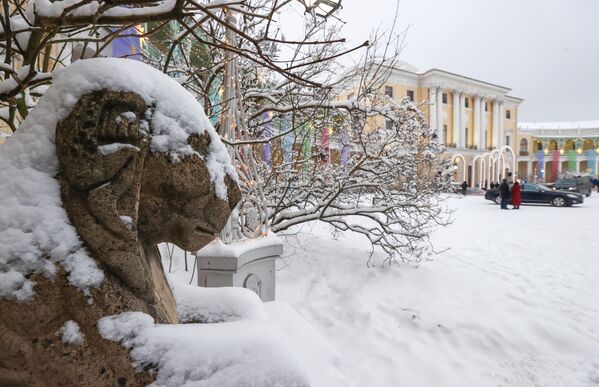 Առյուծի ձյունապատ արձան Պավլովյան պալատի մոտ (Սանկտ Պետերբուրգ) - Sputnik Արմենիա