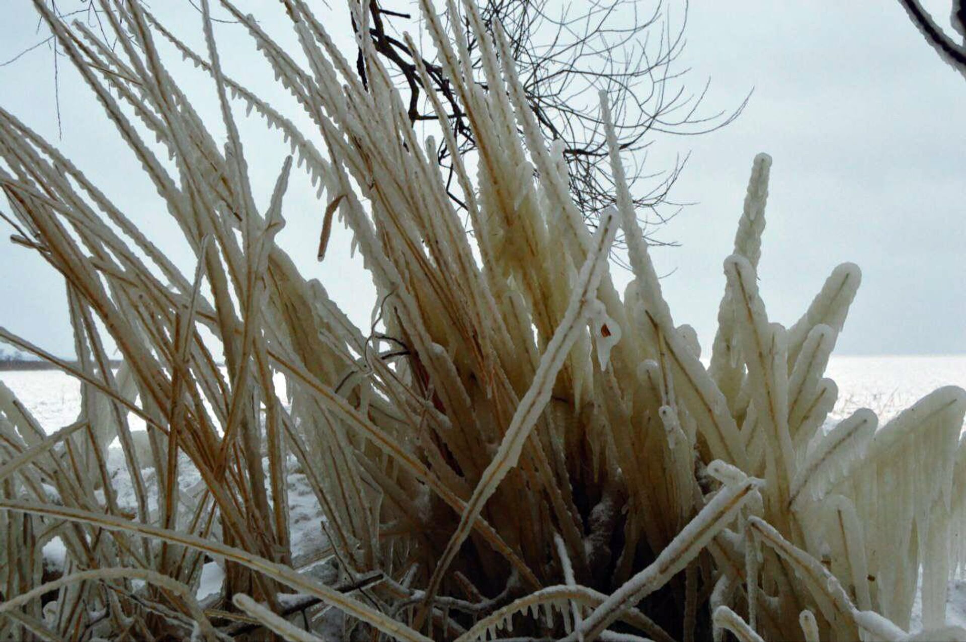 Шторм, ветер и мороз создали на Куршском заливе под Калининградом ледяное царство - Sputnik Армения, 1920, 05.01.2024