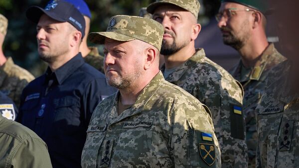 Վալերի Զալուժնի - Sputnik Արմենիա