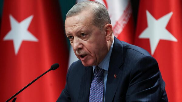 Президент Турции Реджеп Тайип Эрдоган на фоне флагов Турции и Ирана - Sputnik Армения