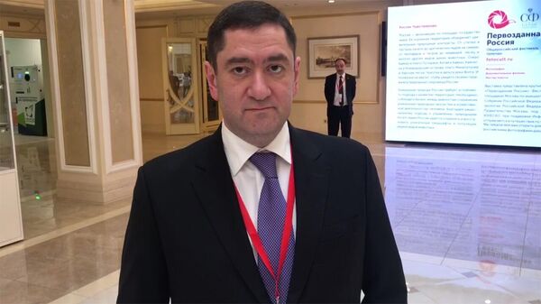 Замгенсека Совета МПА СНГ Айк Чилингарян о том, как проходят выборы в России - Sputnik Армения