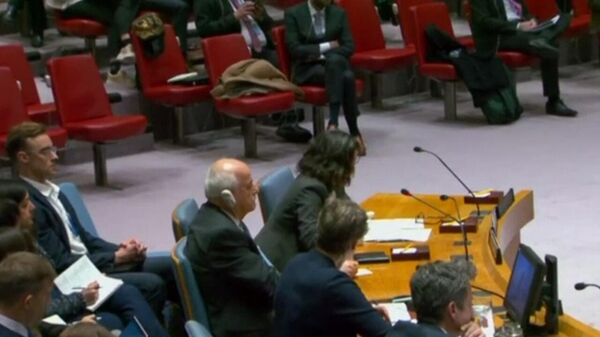 Заседание Совбеза ООН прервалось на некоторое время из-за землетрясения - Sputnik Армения