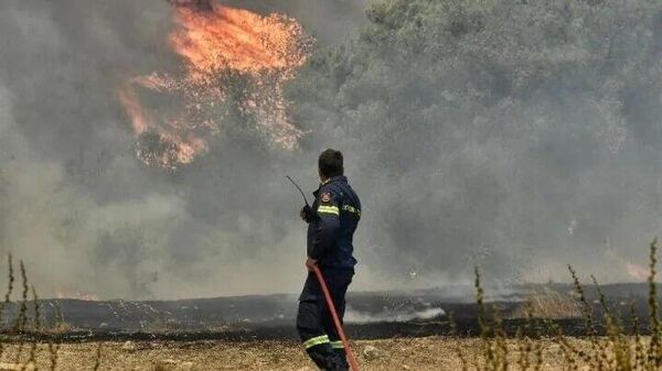 Лесной пожар на острове Крит - Sputnik Армения