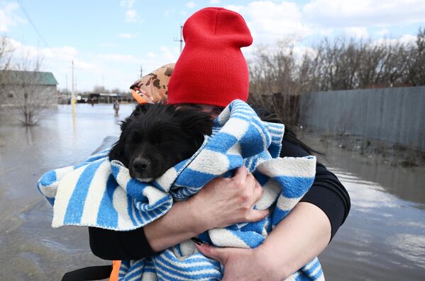 Կամավորը փրկում է շանը հեղեղված Օվչիննի ավանից - Sputnik Արմենիա