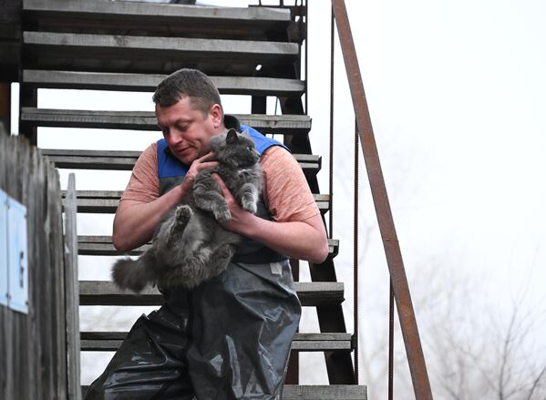 Мужчина эвакуирует кошку из затопленного дома - Sputnik Армения