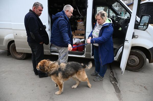 Волонтеры из донецкой организации &quot;Кошкин дом&quot; помогают в размещении, поиске, спасении и раздаче животных, найденных во время наводнения - Sputnik Армения