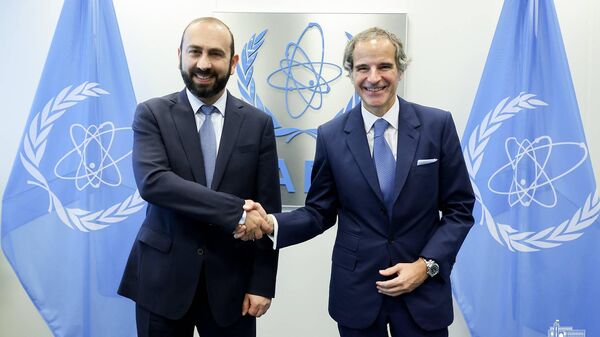 Министр иностранных дел Арарат Мирзоян встретился с генеральным директором Международного агентства по атомной энергии (МАГАТЭ) Рафаэлем Мариано Гросси (20 мая 2024). Вена - Sputnik Армения