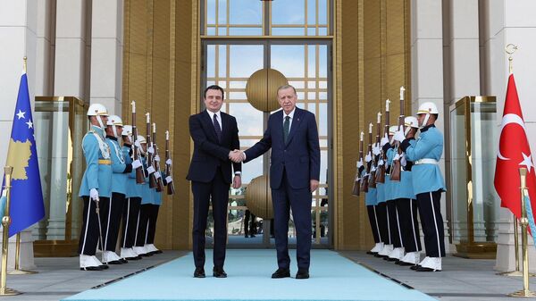 Премьер-министр Косово Альбин Курти встретился с президентом Турции Реджепом Тайипом Эрдоганом (31 мая 2024). Анкара - Sputnik Армения