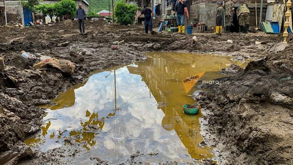 Пострадавшему от наводнения агробизнесу Армении дадут отсрочку по кредитам