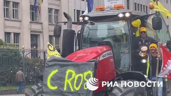 Протест фермеров в Брюсселе за два дня до начала выборов в Европарламент - Sputnik Արմենիա