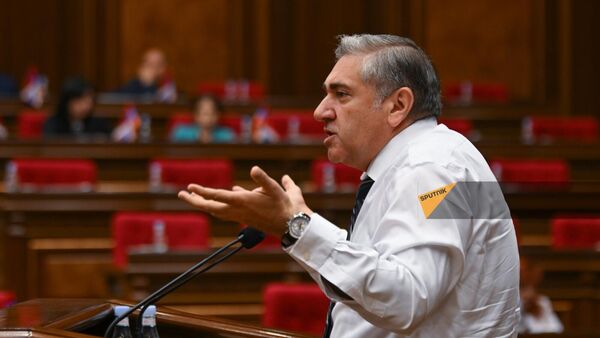 Артур Хачатрян выступает на заседании НС (11 июня 2024). Еревaн - Sputnik Армения