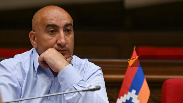 Мгер Мелконян на заседании НС (11 июня 2024). Еревaн - Sputnik Արմենիա