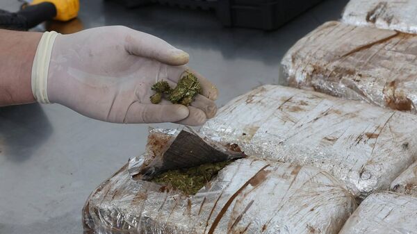 Таможенная служба Грузии обнаружила 13 кг марихуаны в машине, следующей из Армении в Грузию - Sputnik Армения