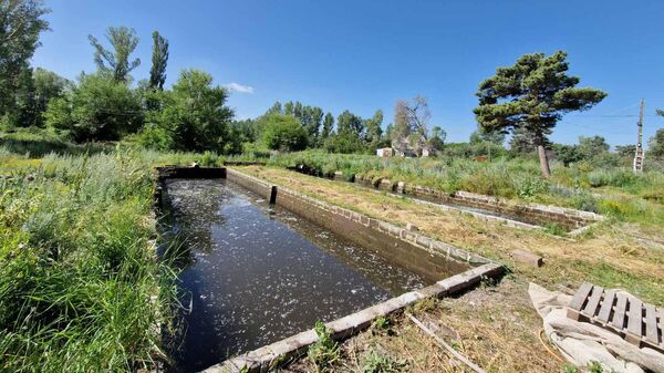 Сотрудники Инспекционного органа по охране природы и недр зафиксировали случай незаконного забора воды из реки Карчахпюр без соответствующего разрешения на водопользование - Sputnik Армения