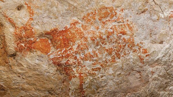 Изображение дикого быка бантенга, выполненное охрой, обнаруженное в пещере Лубанг Джериджи Салех, Восточный Калимантан, Борнео, Индонезия, датированное 40 тыс. лет назад - Sputnik Армения