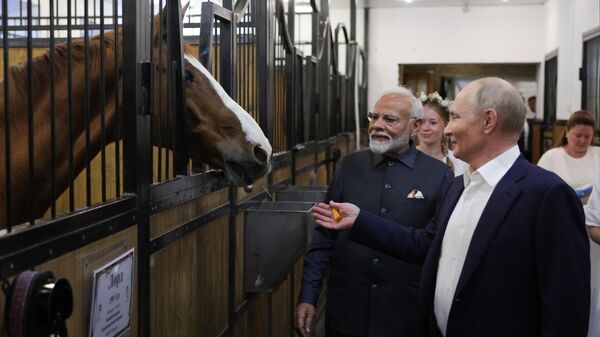 Президент РФ Владимир Путин и премьер-министр Индии Нарендра Моди во время совместного посещения конюшни в резиденции Ново-Огарево - Sputnik Армения