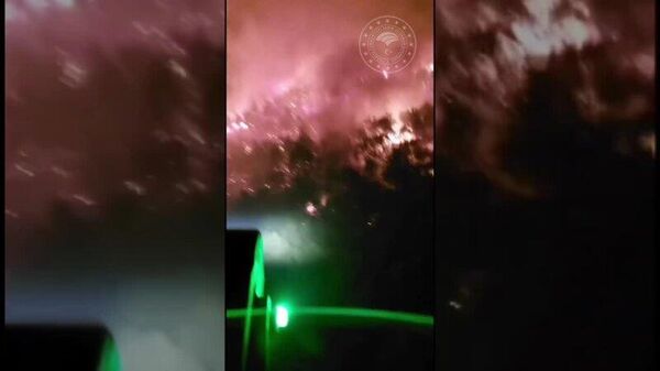 Лесной пожар в турецком Измире добрался до населенных пунктов - Sputnik Армения