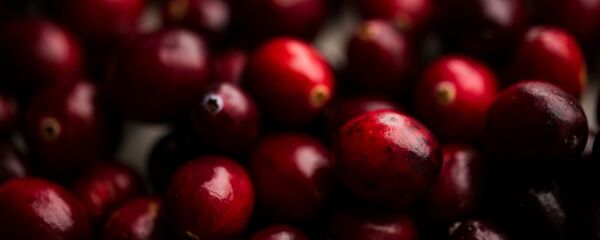 Клюква - Sputnik Արմենիա