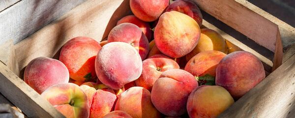 Персики - Sputnik Армения