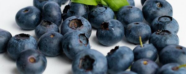 Ягоды черники - Sputnik Армения