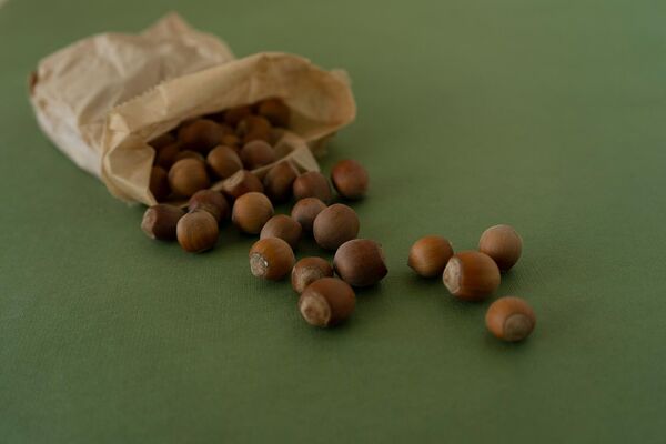 Мужская сила и не только – как фундук помогает избавиться от недугов - Sputnik Армения