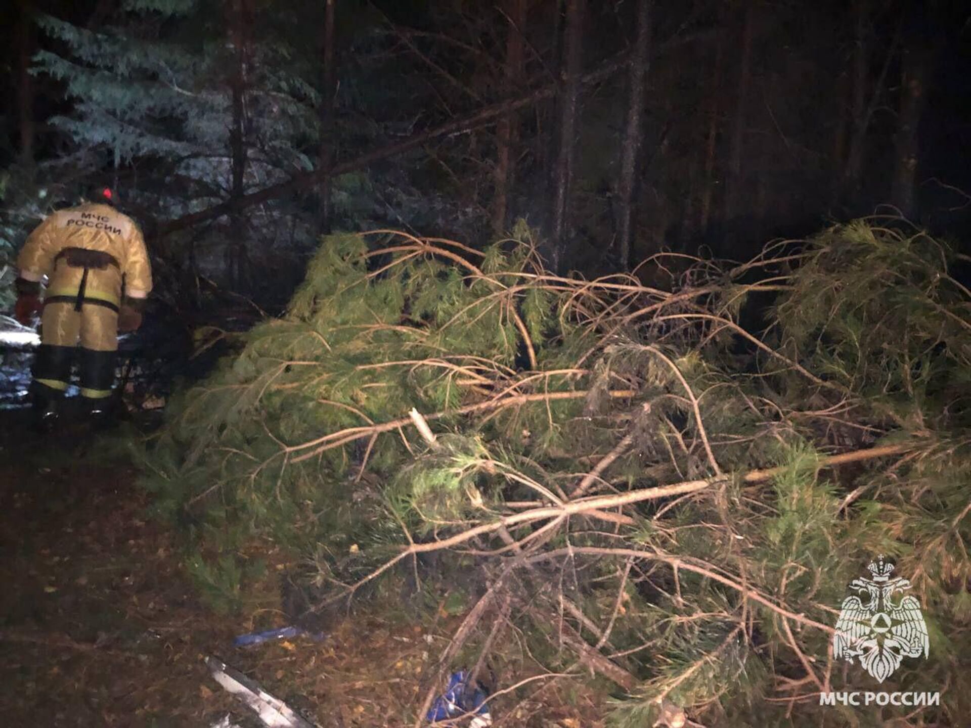 Место, где при жесткой посадке вертолета Ми-2 погибли 3 человека (26 октября 2024). Кировская область - Sputnik Армения, 1920, 26.10.2024