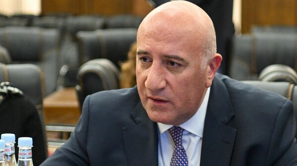 Замминистра обороны Арман Саркисян перед началом совместного заседания постоянных комиссий НС (28 октября 2024). Еревaн - Sputnik Армения