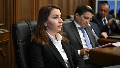 Глава Службы внешней разведки Кристине Григорян перед началом совместного заседания постоянных комиссий НС (28 октября 2024). Еревaн