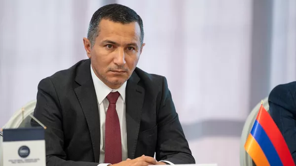 Губернатор Сюника Роберт Гукасян во время экспертного семинара Армения-Иран: Сотрудничество и перспективы (7 ноября 2024). Капан - Sputnik Армения