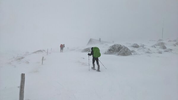 Snowshoeing - Sputnik Армения