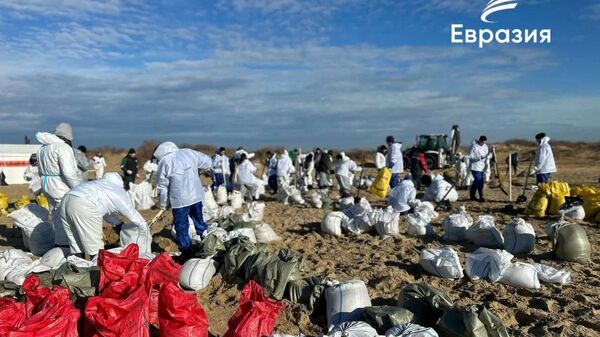 Волонтеры Евразии помогают устранять последствия разлива мазута на Черноморском побережье - Sputnik Армения