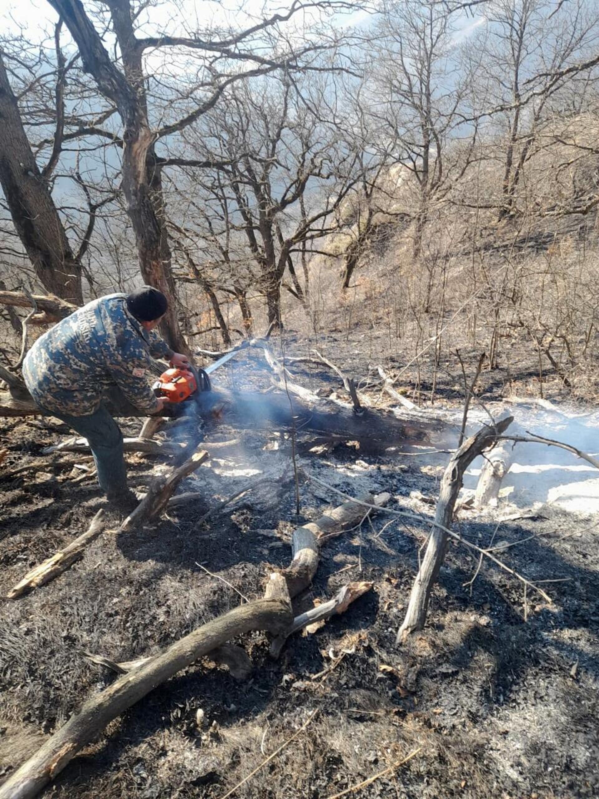 Спасатели на месте возгорания лесов в Тавушской и Гегаркуникской областях - Sputnik Արմենիա, 1920, 06.01.2025