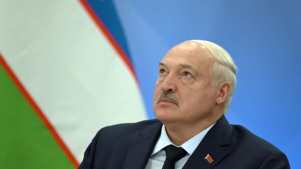 Президент Белоруссии Александр Лукашенко на заседании Высшего Евразийского экономического совета в расширенном составе (26 декабря 2024). Москва - Sputnik Армения