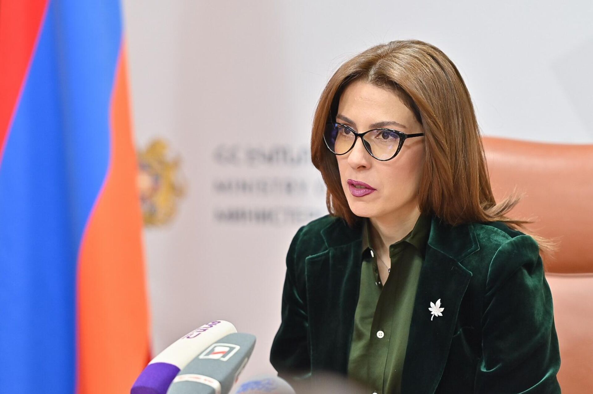 Пресс-конференция председателя Комитета по туризму Лусинэ Геворгян (7 февраля 2025). Ереван - Sputnik Արմենիա, 1920, 26.09.2025