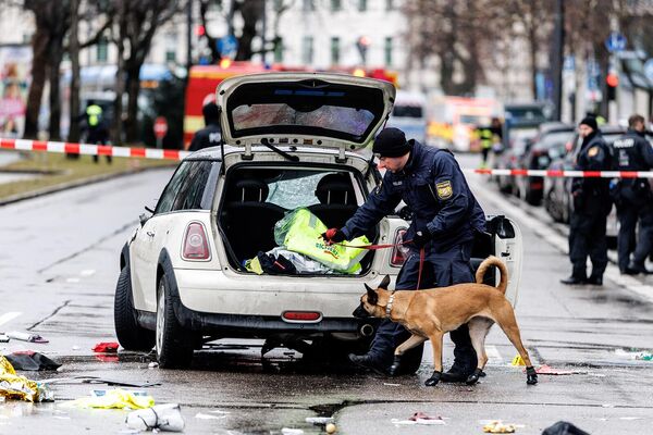 Полицейский со служебной собакой осматривает автомобиль недалеко от площади Стигльмайерплац. - Sputnik Армения