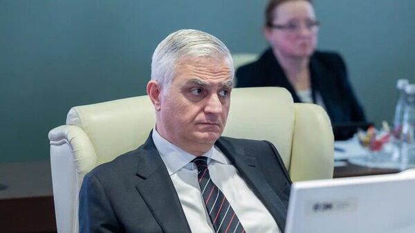 Вице-премьер Мгер Григорян на очередном заседании Совета Евразийской экономической комиссии (21 февраля 2025). Москвa - Sputnik Армения