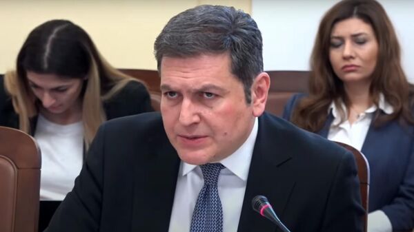 Замминистра иностранных дел Паруйр Ованнисян в ходе заседания парламентской комиссии Армения-ЕС (25 февраля 2025). Еревaн - Sputnik Армения