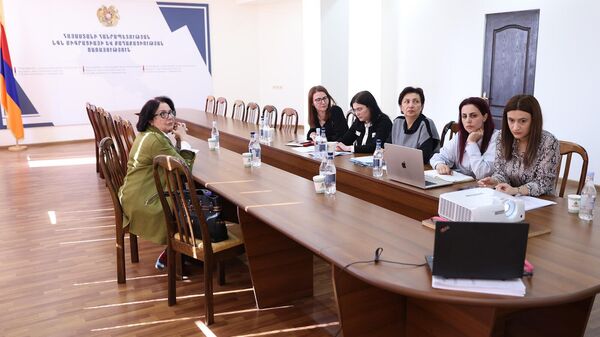 ՀՀ ՆԳՆ միգրացիայի և քաղաքացիական ծառայության աշխատակիցները առցանց քննարկման ժամանակ - Sputnik Արմենիա