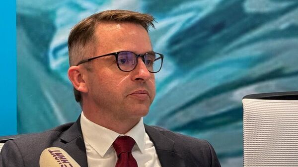 Глава миссии Азиатского банка развития в Армении Дон Ламберт на презентации доклада Перспективы азиатского развития 2025 (9 апреля 2025). Еревaн - Sputnik Армения