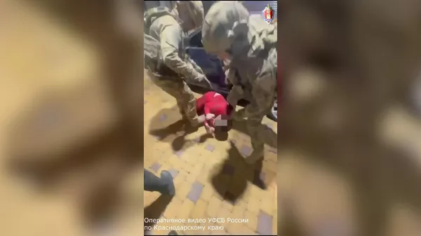 Задержаны 14 членов преступной группировки, которая с января 2024-го по апрель 2025 года легализовала 500 незаконных мигрантов - Sputnik Армения