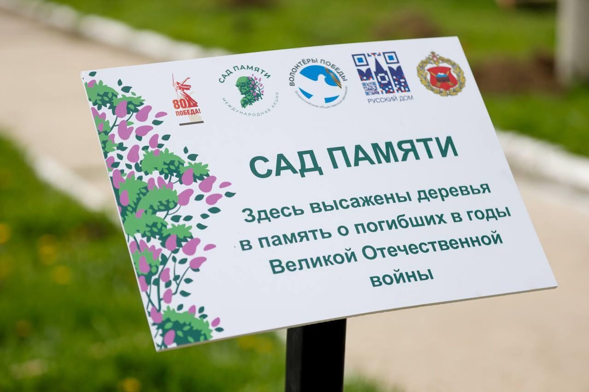 Международная акция Сад памяти к 80-летию Победы (1 мая 2025). Гюмри Международная акция Сад памяти к 80-летию Победы (1 мая 2025). Гюмри - Sputnik Армения, 1920, 01.05.2025