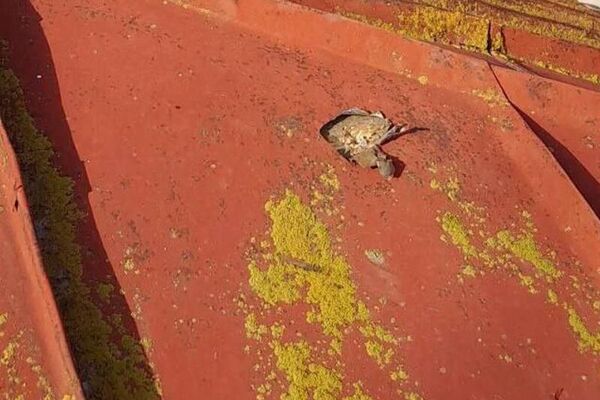 В результате обстрела жилого дома со стороны ВС Азербайджана повреждена крыша жилого дома в селе Хнацах (10 мая 2025). Сюник - Sputnik Армения