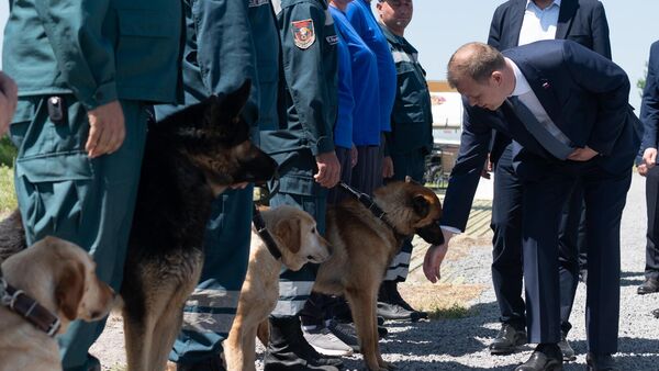 Ռուս-հայկական մարդասիրական արձագանքման կենտրոնի 10-ամյակին նվիրված միջազգային ցուցադրական վարժանքներ և հրշեջ-փրկարարական տեխնիկայի և տեխնոլոգիաների ցուցահանդես - Sputnik Արմենիա