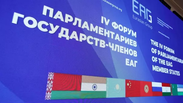 Неделя Евразийской группы по противодействию легализации преступных доходов и финансированию терроризму - Sputnik Армения