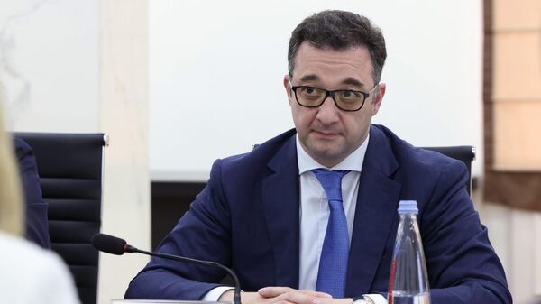 Դավիթ Սոնգուլաշվիլի - Sputnik Արմենիա