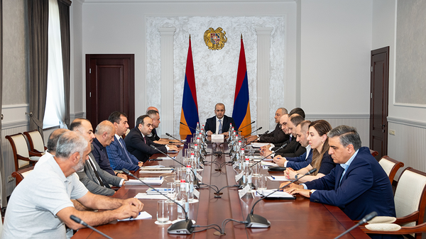 Գերիների, պատանդների և անհետ կորած անձանց հարցերով զբաղվող միջգերատեսչական հանձնաժողովի հերթական նիստը - Sputnik Արմենիա