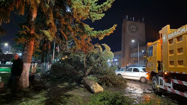 Поваленные вследствие сильного ветра деревья (15 июня 2025). Гюмри Поваленные вследствие сильного ветра деревья (15 июня 2025). Гюмри - Sputnik Армения