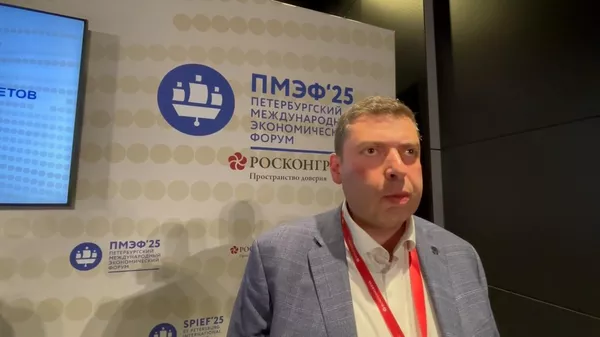О банковской карте МИР в Армении - Sputnik Армения