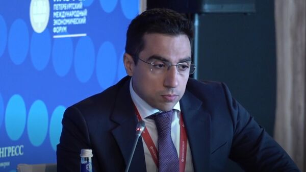 Нарек Овакимян на панельной сессии ПМЭФ (20 июня 2025). Санкт-Петербург - Sputnik Армения